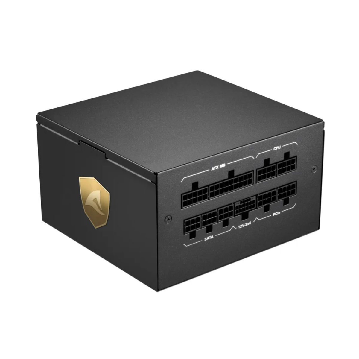 Fuente De Poder Sharkoon Rebel P20 750W Cybernetics Gold ATX 3.1, color negro